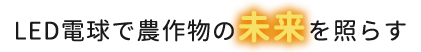 LED電球で農作物の未来を照らす