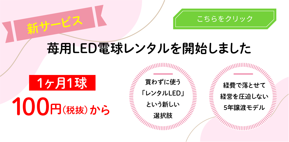 苺用LED電球レンタル