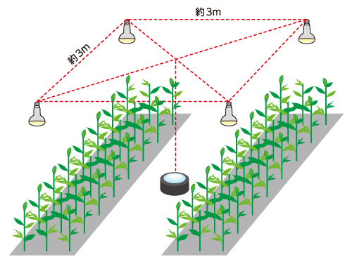 実証実験 イメージ図