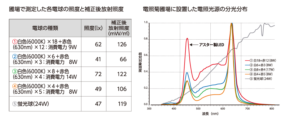 実証実験 測定結果